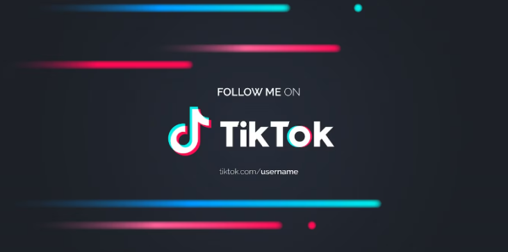 恢复 TikTok 帐户 1